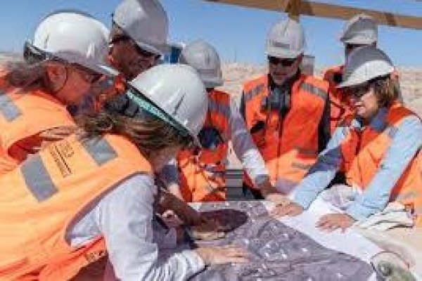 <p>Senado despacha a ley proyecto que promueve medidas para la inclusión laboral de las mujeres en las empresas</p>