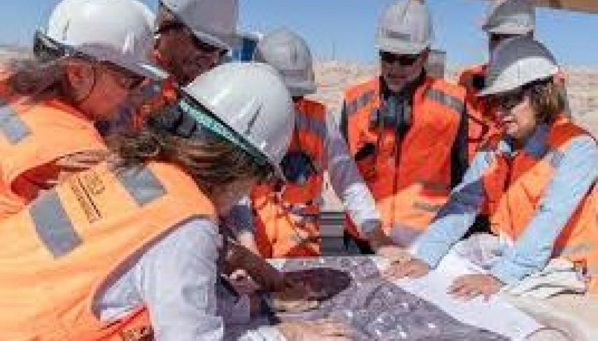Senado despacha a ley proyecto que promueve medidas para la inclusión laboral de las mujeres en las empresas