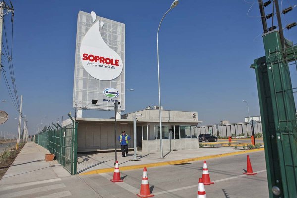 <p>Foto: Rodolfo Jara</p>