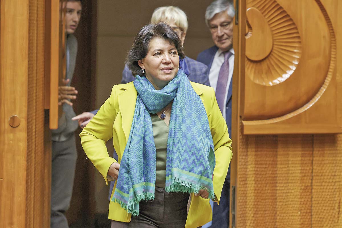 <p>Foto: Aton Chile</p>