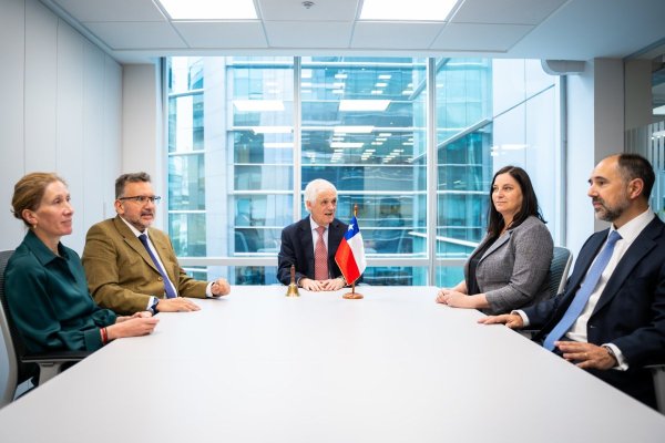 <p>El Consejo Directivo del FAPP: de izquierda a derecha Soledad Huerta, Rodrigo Caputo, Enrique Marshall, Rosario Celedón y Sergio Soto.</p>