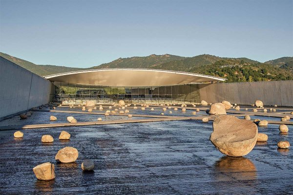 ¿Cómo construir una marca global desde una empresa regional? Las lecciones del éxito de Viña Vik