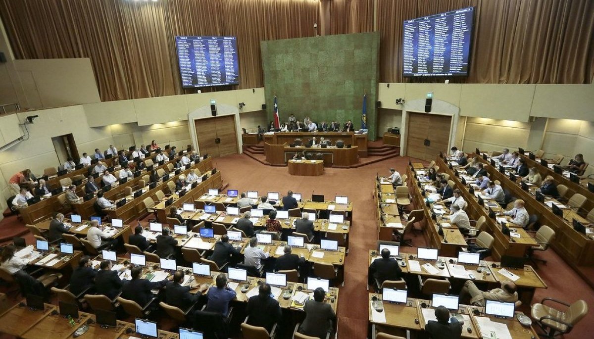 Las 33 faltas o delitos que contempla el proyecto sobre actos vandálicos del gobierno