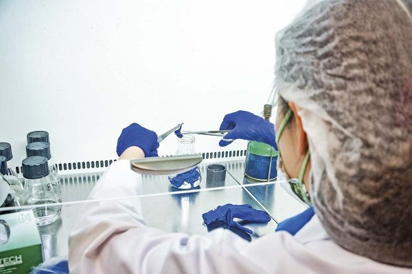 El duro diagnóstico de LyD: hay avances en innovación, pero no se traducen en mayor I+D en empresas y productividad