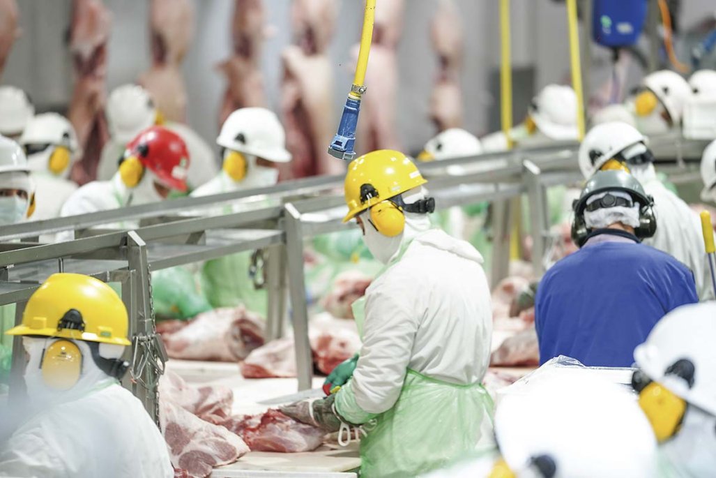 Coexca y AASA acuerdan una fusión que crearía al segundo mayor productor de carne de cerdo de Chile, con 100 mil toneladas anuales