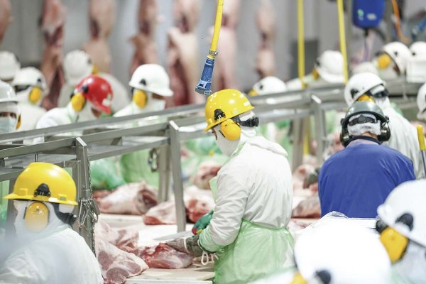 Coexca y AASA acuerdan una fusión que crearía al segundo mayor productor de carne de cerdo de Chile, con 100 mil toneladas anuales
