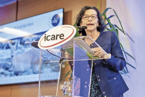 Presidenta del Banco Central llama a mirar con atención los factores que están afectando al mercado laboral