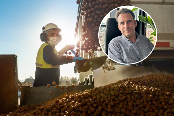 <p>Jorge Mohr de Nefuen proyecta que "el negocio de las avellanas llegará a US$ 1.200 millones” en Chile, duplicando su facturación en la próxima década</p>