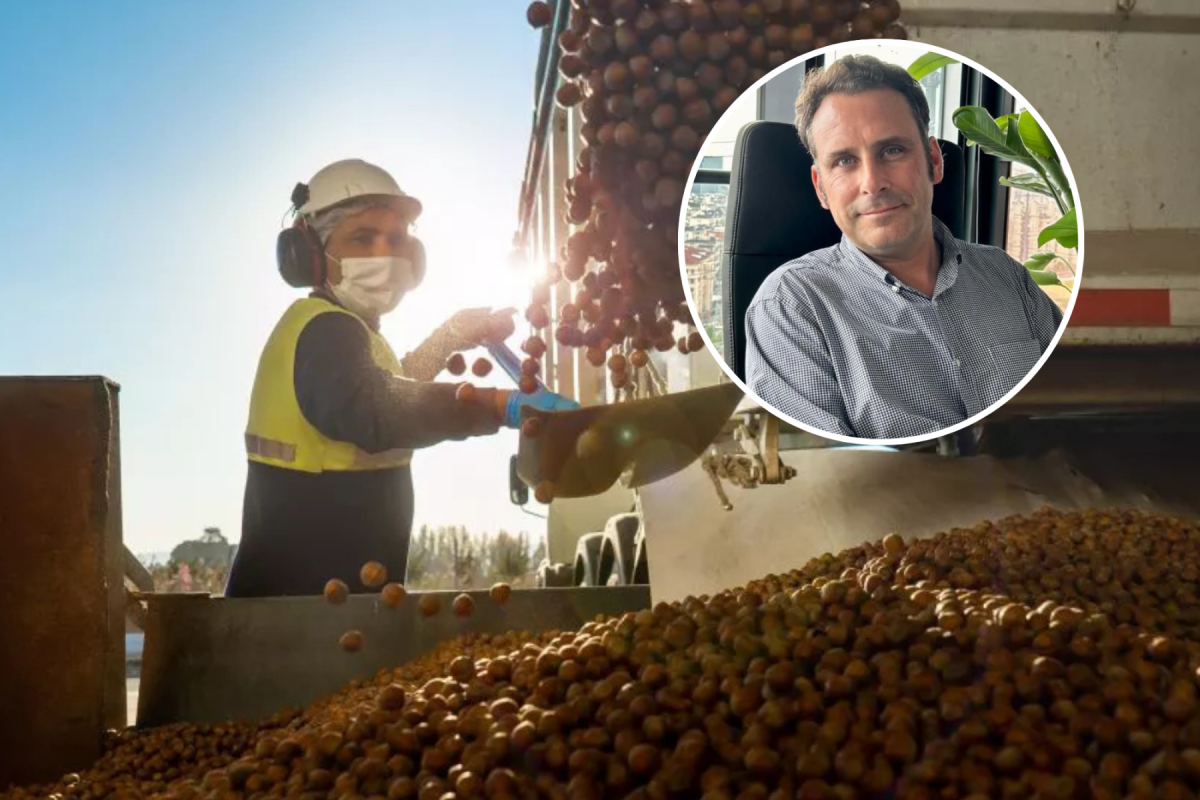 <p>Jorge Mohr de Nefuen proyecta que "el negocio de las avellanas llegará a US$ 1.200 millones” en Chile, duplicando su facturación en la próxima década</p>