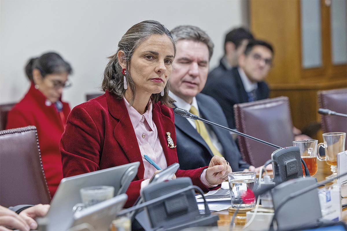 <p>La presidenta de la Asociación de Casinos, Cecilia Valdés. Foto: Senado</p>