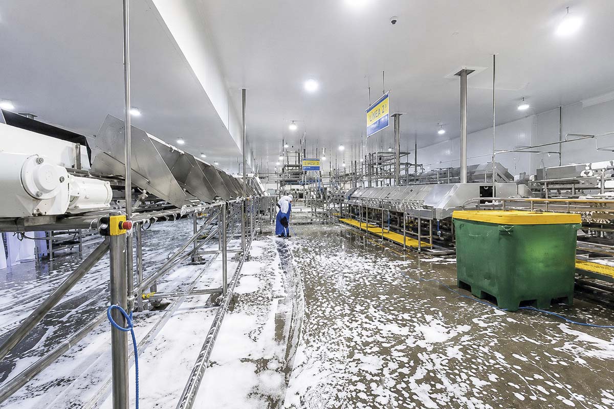 <p>Tecnológica Kran suma a Carozzi a cartera de clientes y proyecta cerrar 2026 con crecimiento de 30%</p>