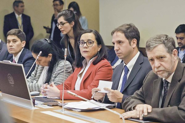 <p>Paula Benavides junto a los integrantes del CFA en el Congreso. Crédito: Aton</p>