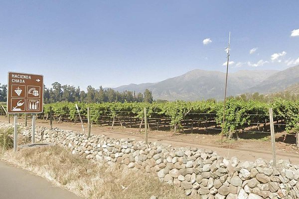 En medio de crisis financiera, empresa chilena líder del agro propone venta de activos para evitar su quiebra
