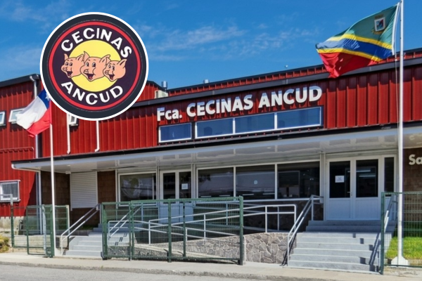 <p>Cecinas Ancud activa plan de expansión con nueva red de locales propios para fortalecer canal de venta directa y proyecta alza de 20% en ingresos</p>