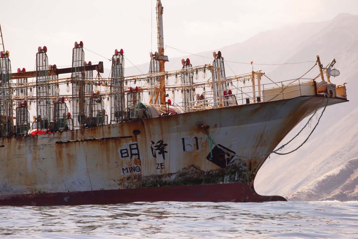 <p>Recalada de pesqueros chinos en Chile aumentó 2.700% en 2025 y Oceana proyecta nuevo incremento este año a medida que se inicia temporada de jibia</p>