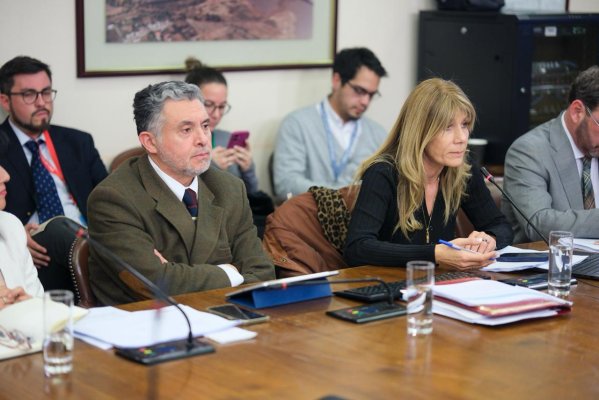 <p>El subsecretario de Energía, Hugo Briones, junto a la ministra de la cartera, Ximena Rincón, en el Congreso.</p>