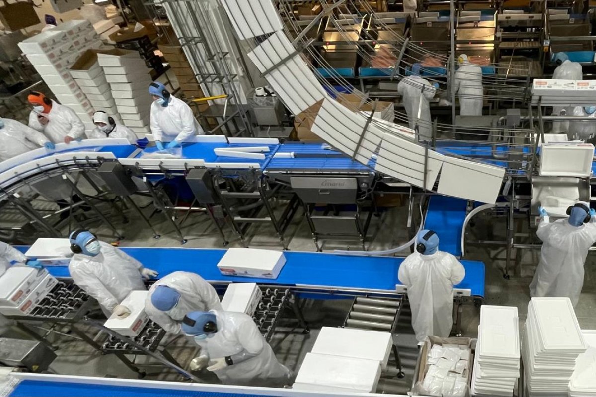 <p>Trabajadores de Salmones Camanchaca declara huelga legal en Tomé, exigen mejoras salariales y redistribución de ganancias</p>