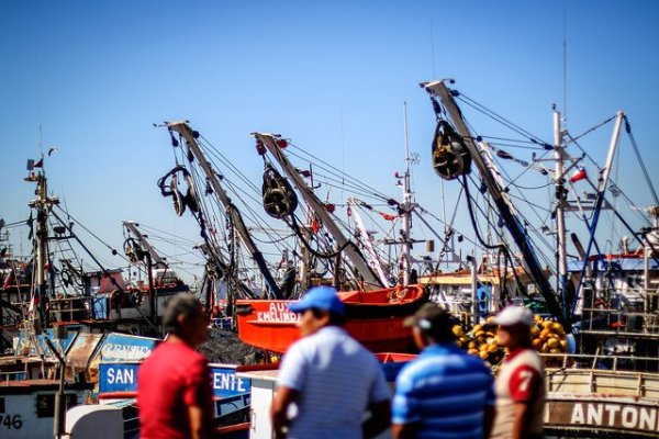 <p>Gremio de pescadores artesanales rechaza proyecto de ley que reactivaría el arrastre industrial de la jibia en Biobío</p>
