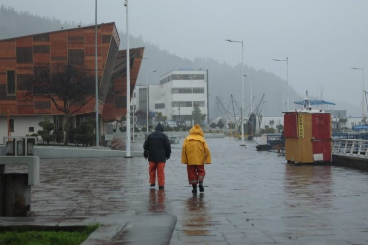 <p>Ahora en DF | Sistema frontal: alcalde de Talcahuano, Eduardo Saavedra, pide "evitar acercarse al borde costero" debido a las intensas marejadas</p>