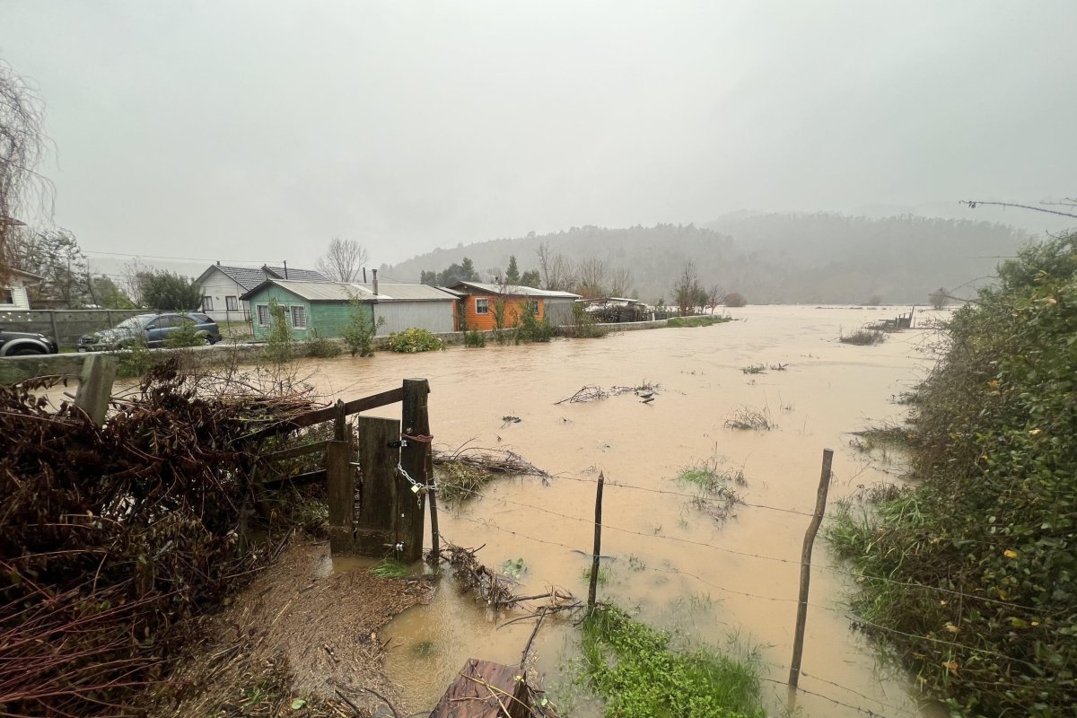 <p>Declaran alerta roja en comuna de Arauco por riesgo de desborde del río Pichilo y piden evacuar riberas</p>