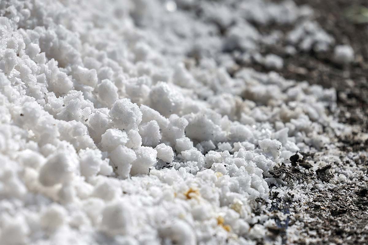 <p>Foto: Bloomberg.</p>