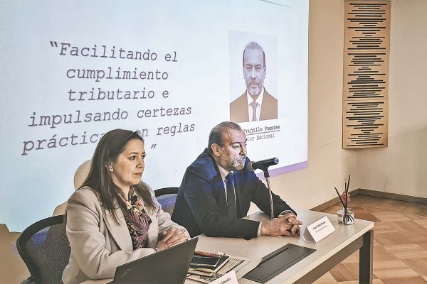 SII trabaja con el sector privado en transparentar proceso para valorizar grandes operaciones económicas