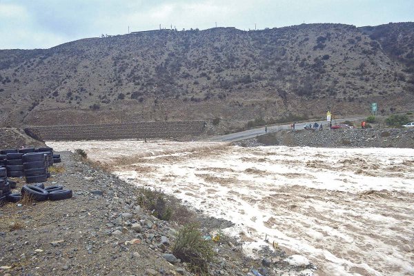 Pisco Chile estima que más de 150 de sus cooperados han sido afectados y anticipa impacto en el mercado interno