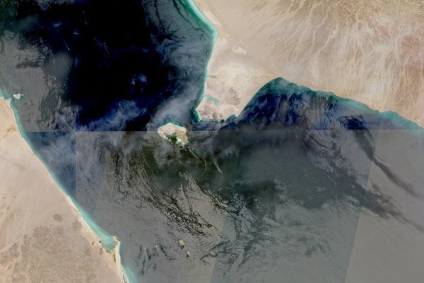 <p>Petróleo alcanza los US$ 91 el barril mientras hutíes comienzan a hacer efectivo el bloqueo a Arabia Saudita en el mar Rojo</p>