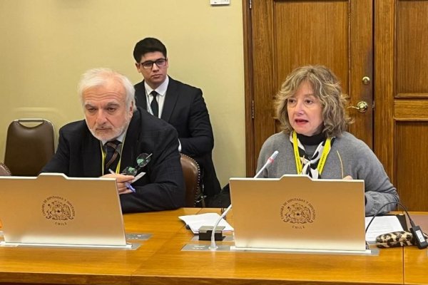<p>El recién salido CEO de Codelco, Rubén Alvarado, y la directora de la estal, Tamara Agnic, en sesión del Congreso.</p>