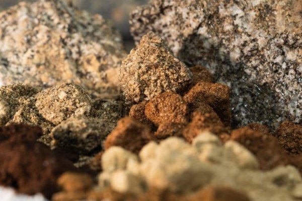 <p>Madesal sale a zanjar polémica y descarta planes de inversión en minería de tierras raras en isla Santa María</p>