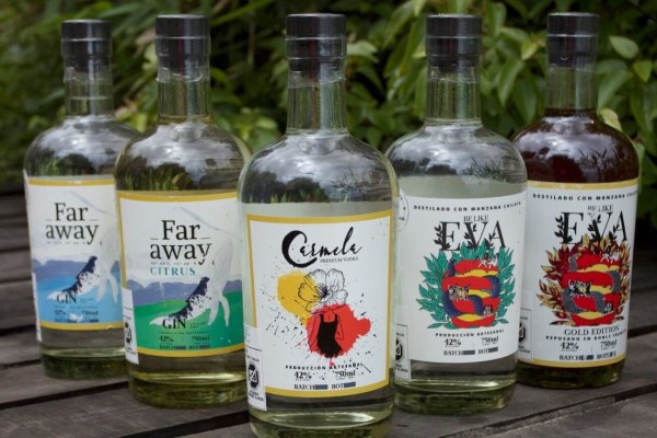 <p>Destilería chilena busca transformar el mercado de las bebidas espirituosas produciendo gin y vodka desde la isla grande Chiloé</p>