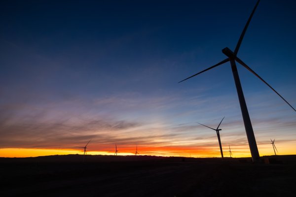 <p>Colbún reduce a la mitad sus utilidades semestrales y reconoce costos extraordinarios por fin anticipado de contratos de carbón</p>