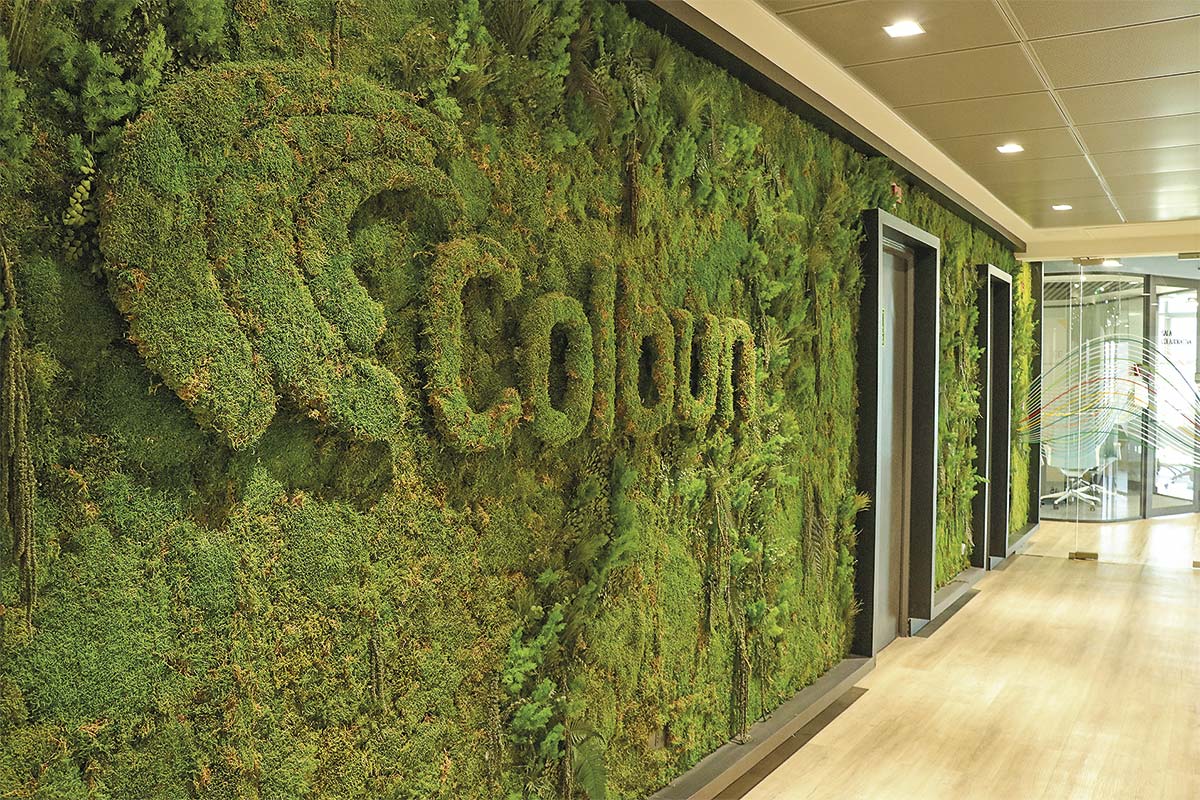 <p>Colbún reduce a la mitad sus utilidades semestrales y reconoce costos extraordinarios por fin anticipado de contratos de carbón</p>