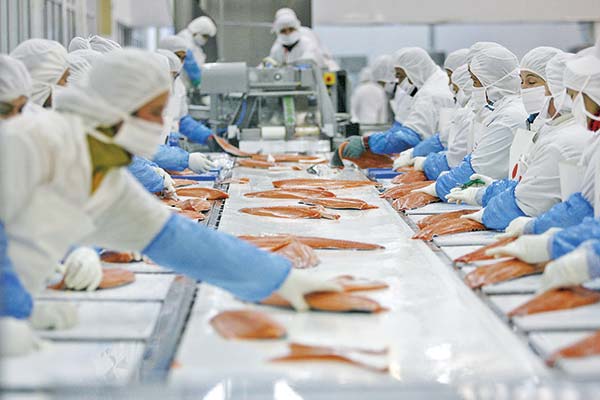 Alianza entre CPC Biobío y SalmonChile busca habilitar Carriel Sur para exportaciones y reducir la dependencia del aeropuerto de Santiago