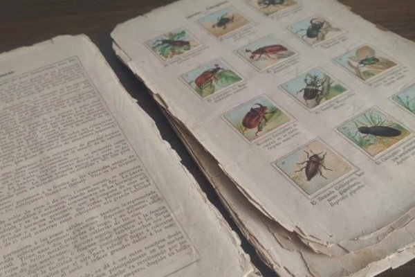 El arte de no dejar morir las cosas