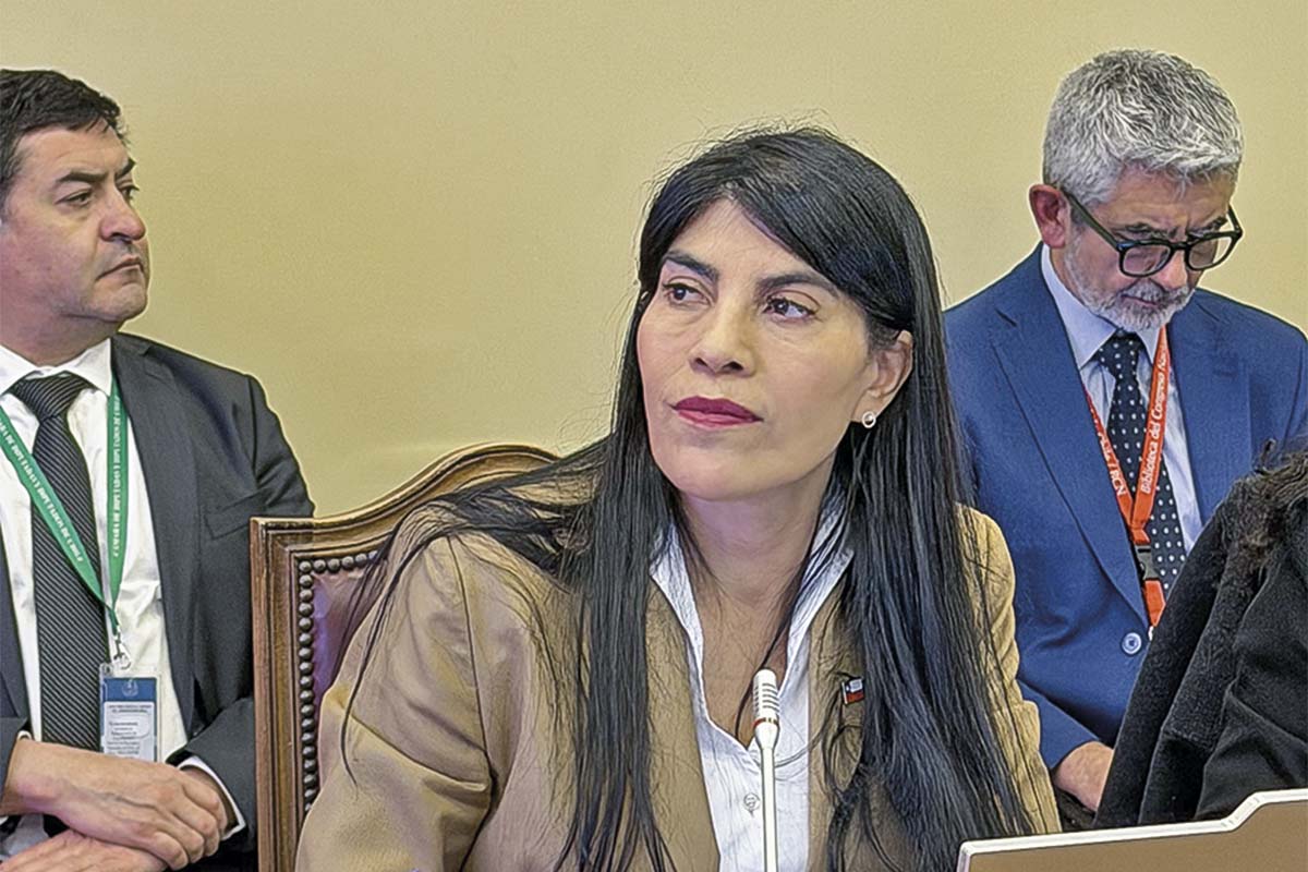 <p>Ministra Lincolao revela incumplimiento de un 14% en Becas Chile y plantea ajustes al programa</p>