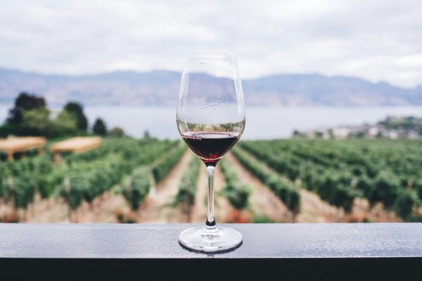 <p>Concha y Toro encabeza la bolsa chilena con alza de 3% tras presentar resultados que superaron las expectativas en el segundo trimestre</p>