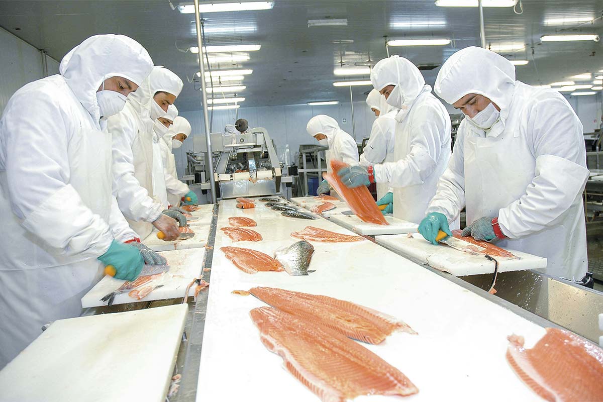 <p>¿Y la competitividad de los envíos chilenos? Salmones quedan en mejor pie que la uva</p>