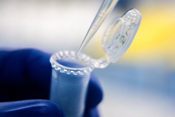 <p>Hito en la biología sintética: científicos estadounidenses crean con IA virus que no existen en la naturaleza</p>