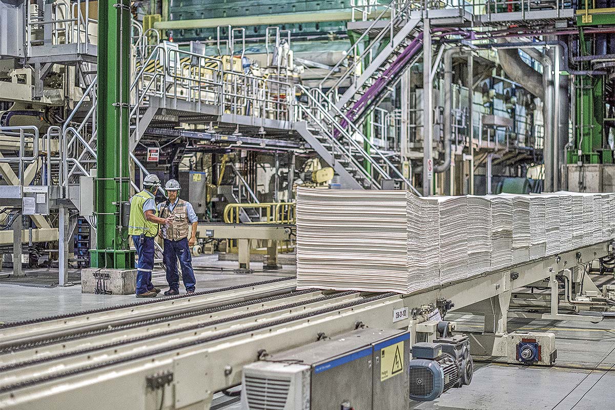 Brasil y México sostienen a CMPC en un semestre en que las utilidades caen 74% y llegan a US$ 33 millones