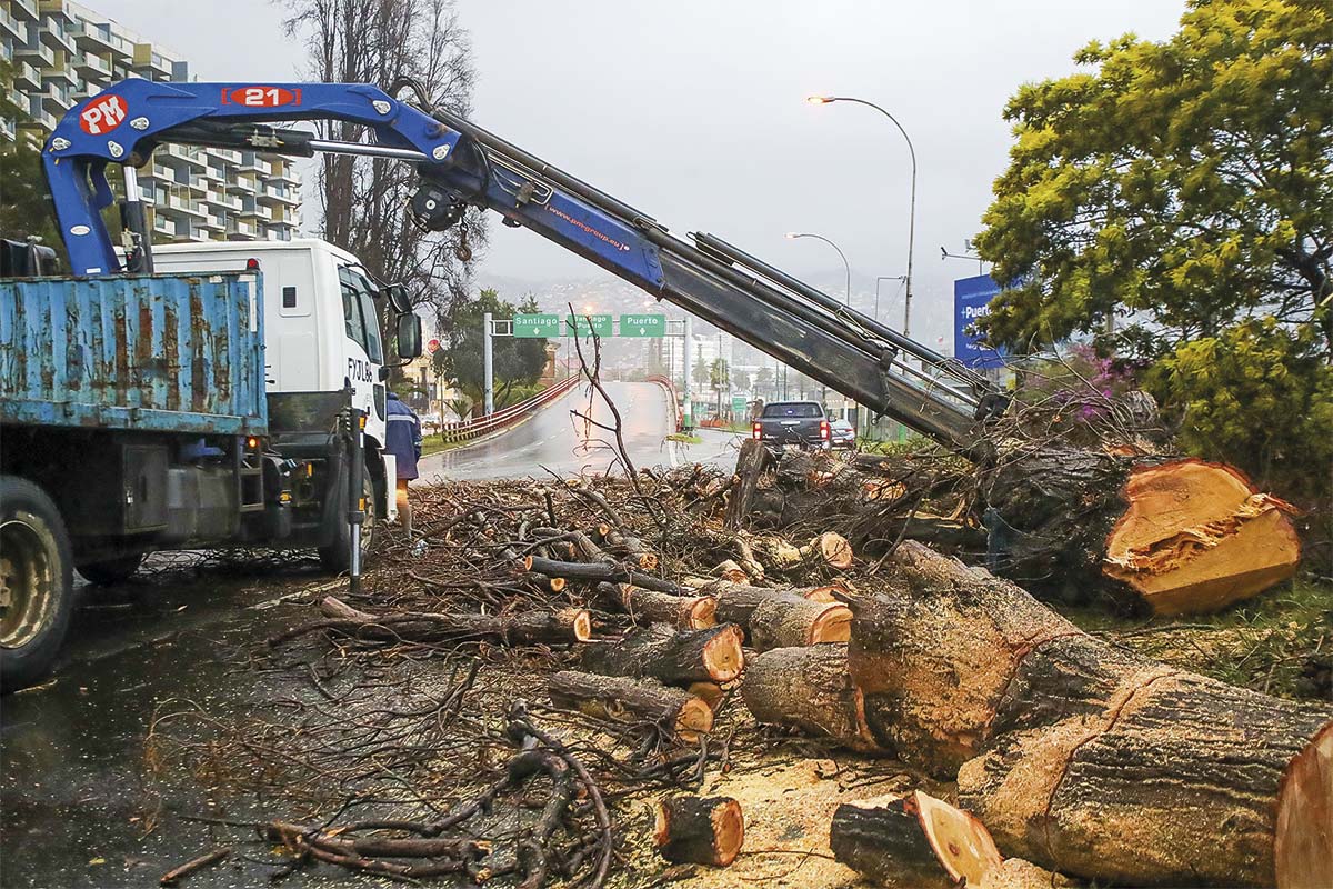Miles de árboles cayeron sobre tendidos eléctricos durante los últimos temporales. (Foto: Aton Chile)