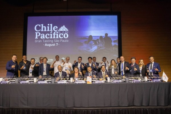 <p>Brasil aumenta su apuesta por productos chilenos: el vino lidera y el salmón abre nuevas oportunidades</p>