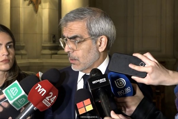 Ahora en DF | Exministro Cordero representará a salmoneras para defender artículos de la ley miscelánea de Kast en el Tribunal Constitucional