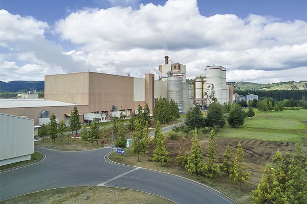 <p>Empresas Copec acuerda inyectar US$ 450 millones a Arauco en medio de desarrollo de megaproyecto en Brasil</p>