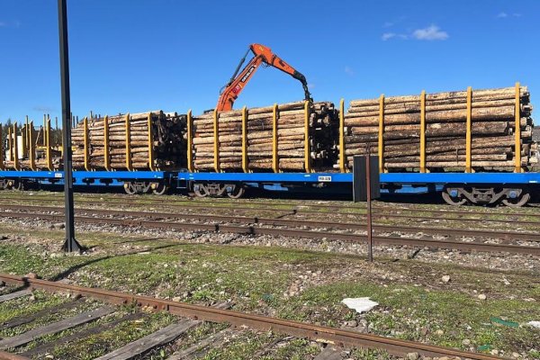 <p>Empresa de carga ferroviaria Transap abre nueva ruta para trasporte de materias primas de CMPC entre Los Ríos y Biobío</p>