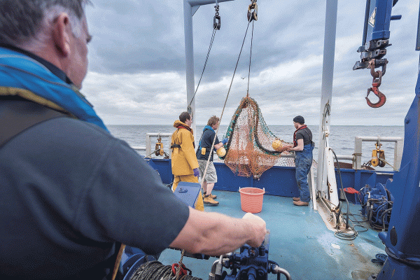 <p>Director de Inpesca por captura de la jibia: “Los resultados (del IFOP) contradicen que la red de arrastre de media agua no discriminaba especies ni tamaños”</p>