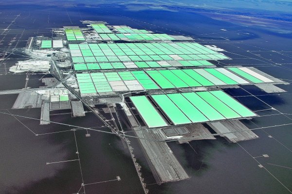 <p>Las utilidades de SQM se disparan más de 600% en el segundo trimestre y superan las estimaciones ante mayores ventas y precios del litio</p>