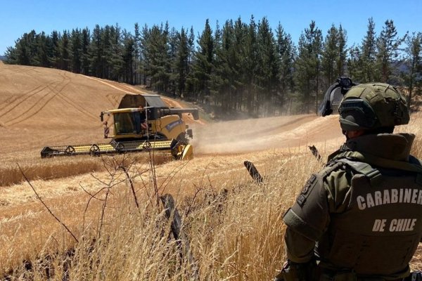 Agricultores de Malleco respaldan dichos de ministro de Defensa y piden evaluar la continuidad de leyes diferenciadas para pueblos originarios