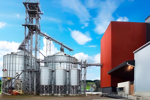 Molinera Itata, segunda exportadora chilena de avena, invierte US$ 3 millones para ampliar capacidad y apunta a mercados en Asia