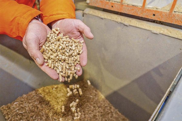 Los pellets: el nuevo negocio del holding familiar de Gabriel Ruiz-Tagle